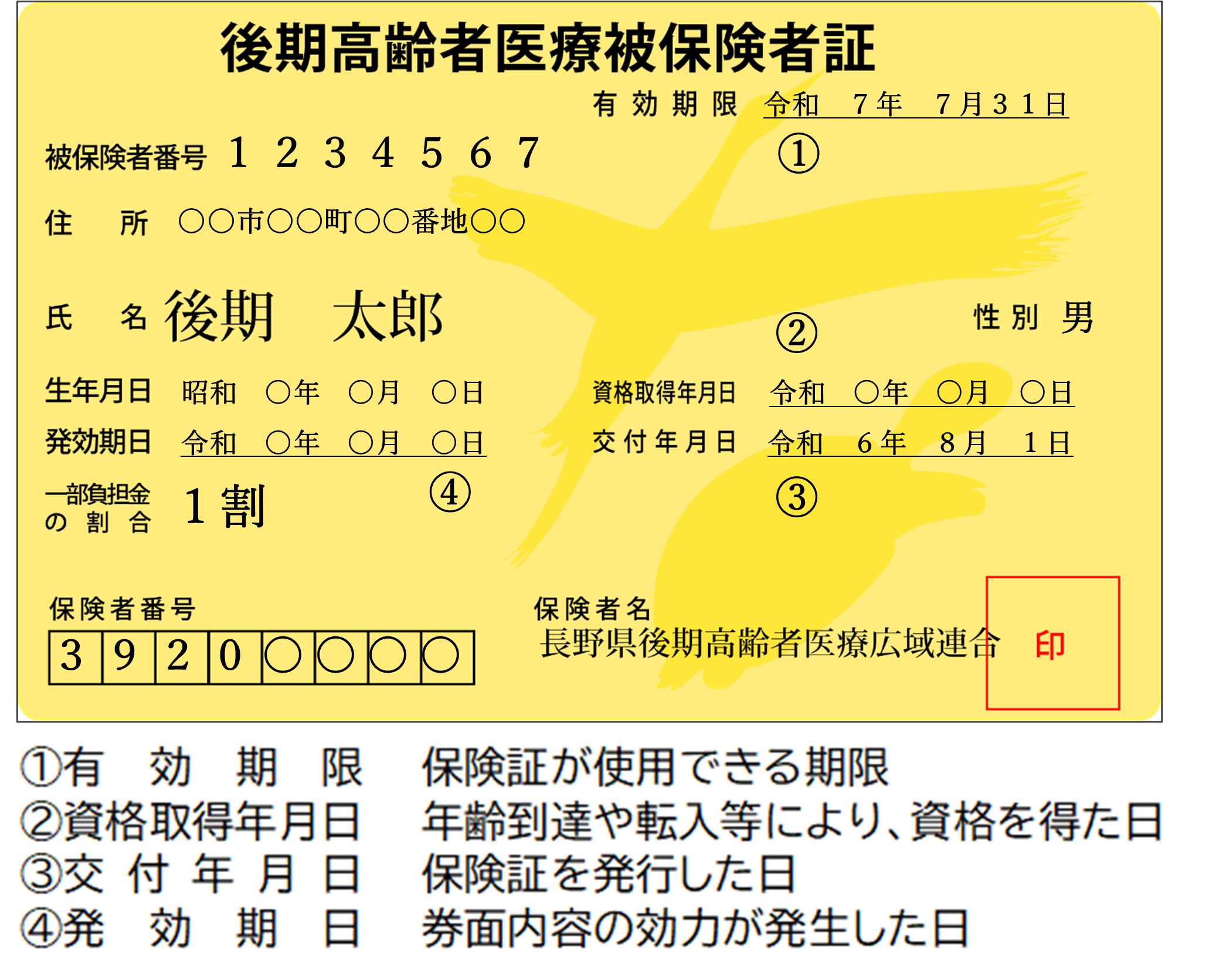 保険証