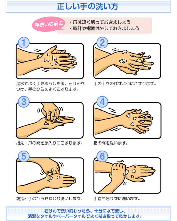 正しい手の洗い方